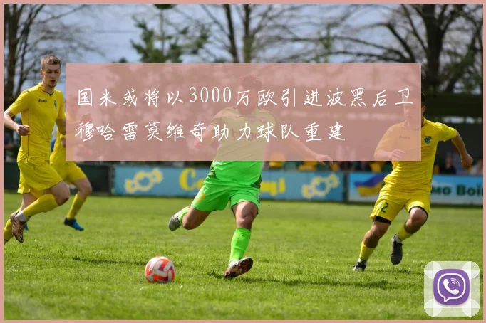 国米或将以3000万欧引进波黑后卫穆哈雷莫维奇助力球队重建